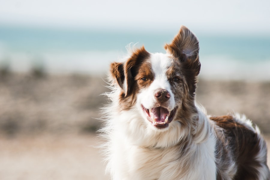 Field trip! Wind in the ears, sand in the car — worth it.